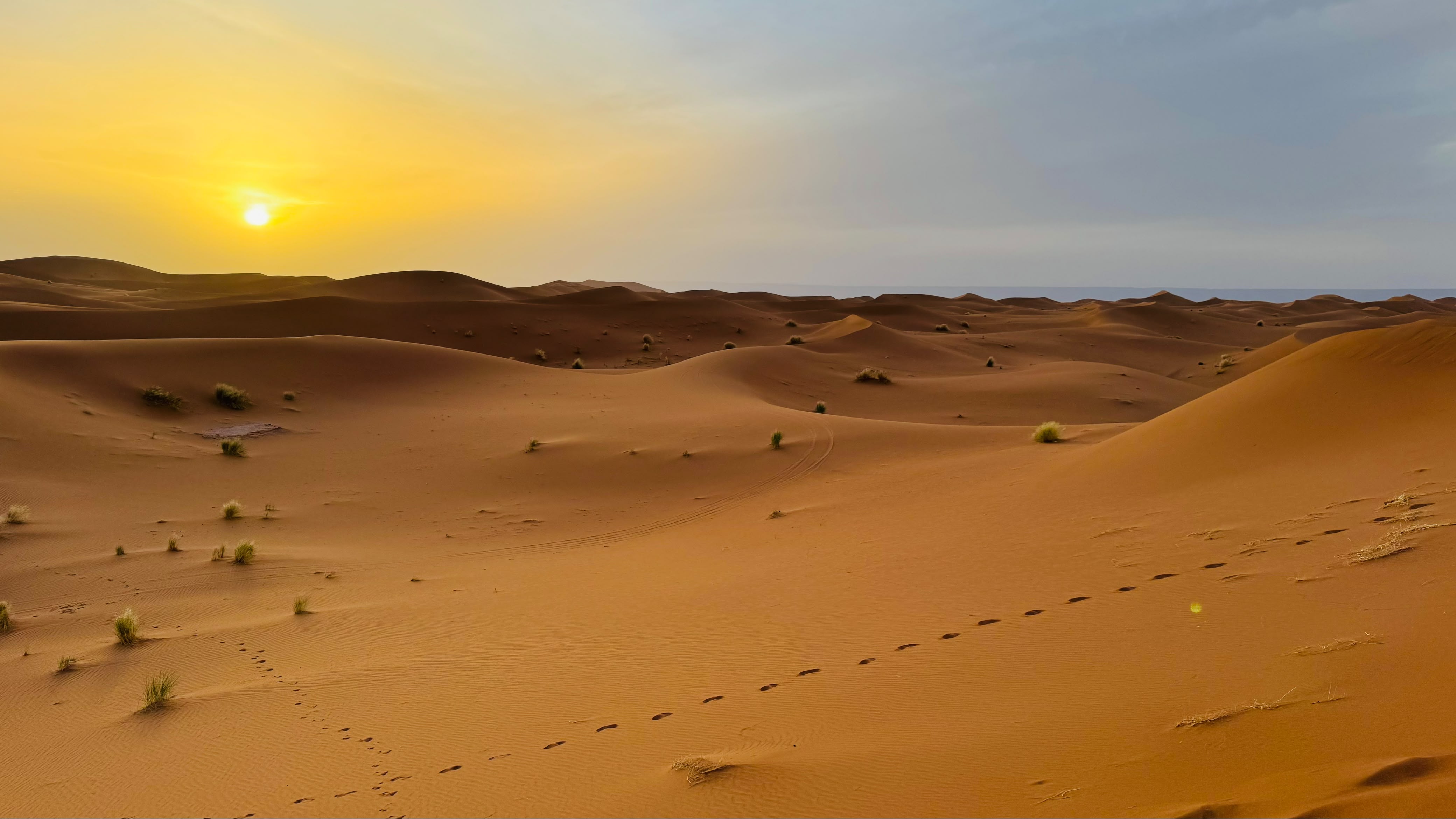 Desert Camp