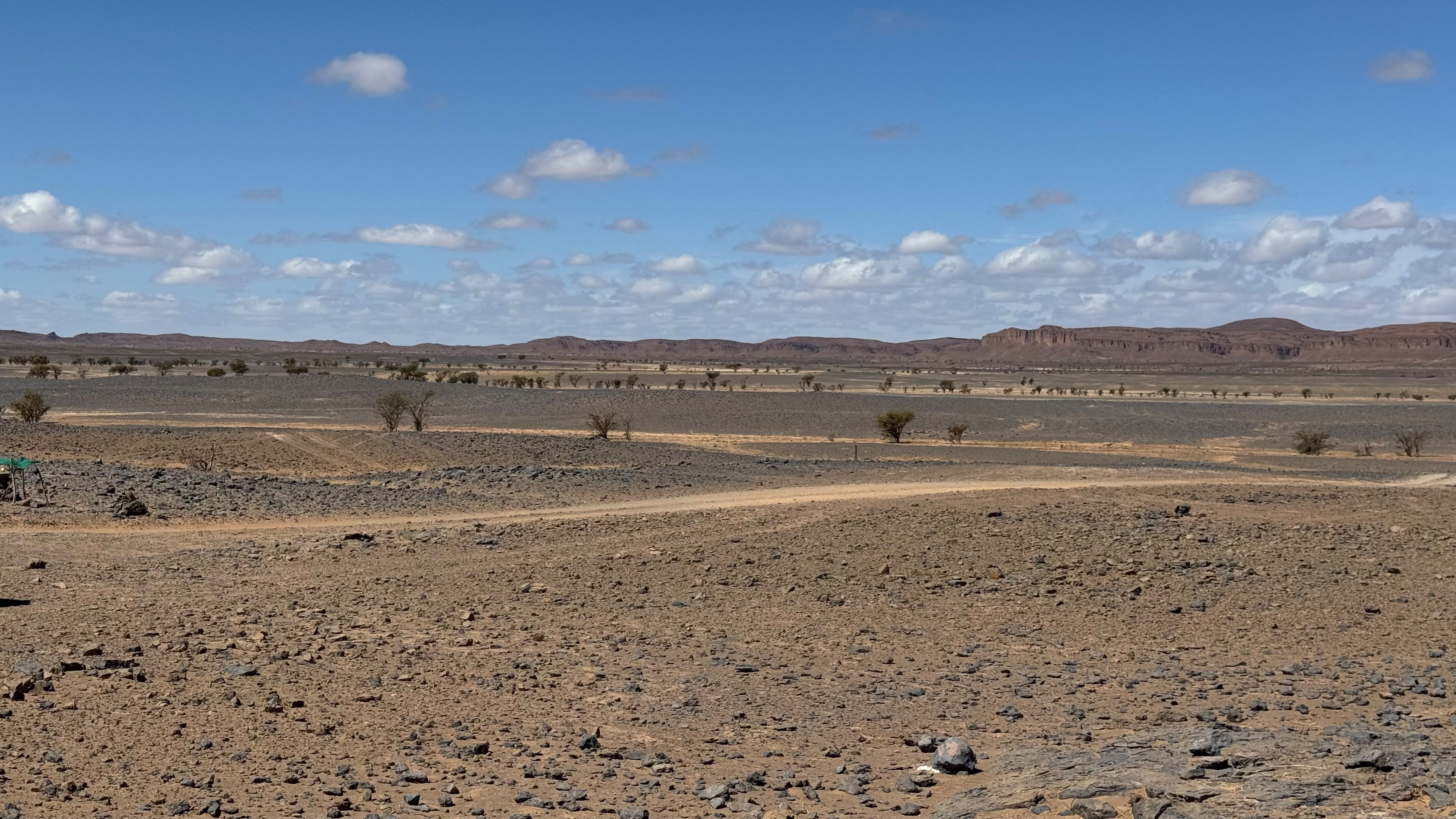 Best Time to Visit the Sahara Desert in Southeastern Morocco